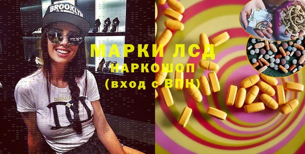 сатива Вязьма