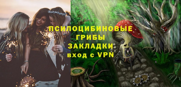 сатива Вязьма