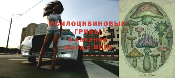 сатива Вязьма