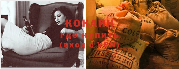 сатива Вязьма