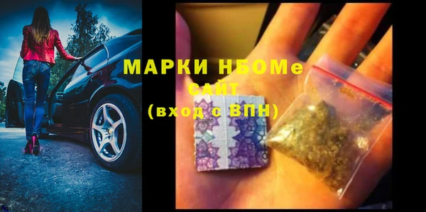сатива Вязьма